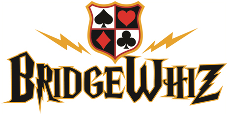 BridgeWhiz Banner